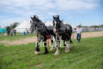 Guernsey Agricultural Show 2021-169