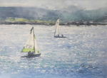 'Sailboats'