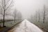 Yeomanry Avenue