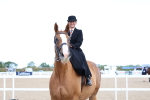 Class 306 - Ridden Foreign Breeds - Part Bred portfolio