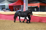 SBM_18424