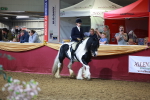 SBM_15905