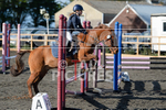 Junior Showjumping_10-11-2019-15