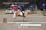 BPP_8678
