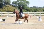 SBM_013849
