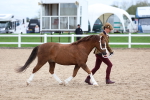 SBM_05960