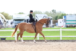 SBM_03289