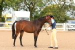 SBM_10181