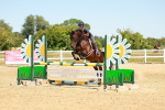 SBM_006465