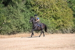 WJ6_6767