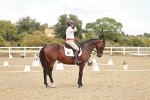 SBM_009950