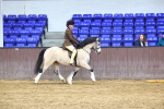 M&M Novice WHP Championship portfolio