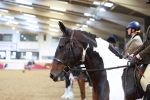 SBM_09667