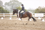 SBM_004786