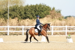 SBM_016949