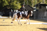 SBM_16463