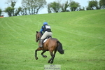 875-Georgina.Brown-BALLYCREEN.MILADY portfolio