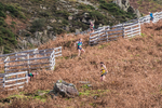 Stybarrow Dodd-808