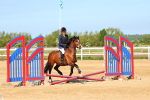 SBM_006635