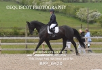 BPP_6920
