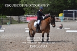 BPP_6183