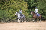 WJ6_7791