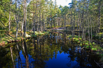 Nõva Recreation and Landscape Protection Area, Estonia