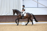 SBM_009242
