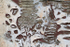 Paint and Rust 01