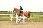 SBM_001497