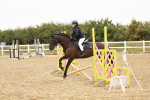 SBM_007264