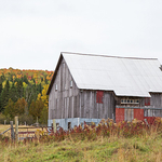 Vintage Barns of New Brunswick Canada