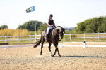 SBM_007533