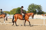 SBM_02169