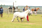 SBM_03571