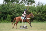 XC 80cm portfolio