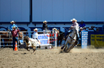 3HRodeo8-11-25_PRCASteer_02493_