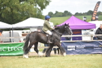 SBM_15960