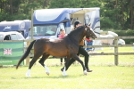 SBM_09126