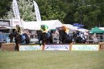 SBM_10039