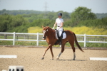 SBM_009477