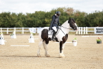 SBM_009137