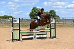 Show Jumping portfolio