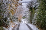 z4324 Strawberry Lane in the Snow