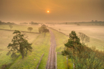 z3403 Misty Sunrise, Ashey