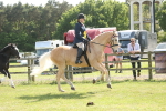 SBM_09289