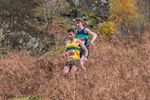 Stybarrow Dodd-695