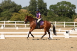 SBM_006391
