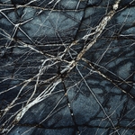 Veins