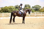 SBM_007347